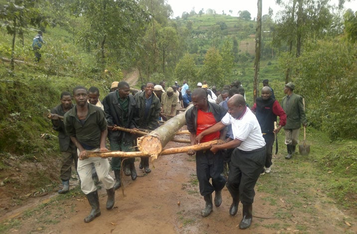 Umuyobozi w'akarere ka Burera (wambaye umupira w'umweru) nawe yifatanyije n'abaturage mu gutwara ibiti byo kubaka ikiraro cya Karuruma.