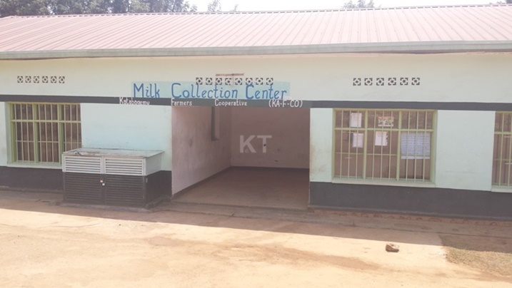 Begerejwe ikusanyirizo ry'amata ariko ntibayanywa.
