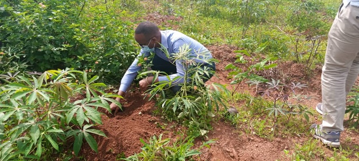 Umuyobozi w'Akarere ka Bugesera Richard Mutabazi na we yitabiriye iki gikorwa cyo gutera ibiti bivangwa n'imyaka