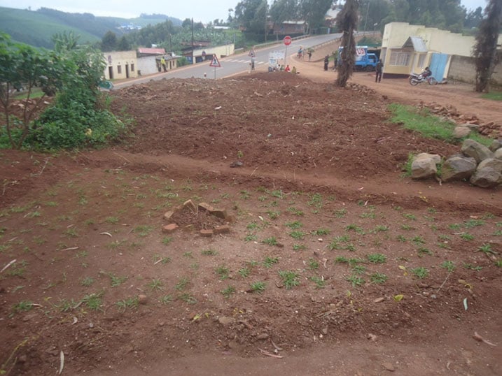 Aha ni mu irembo rya Burumbuke aho yari atangiye gutunganya ubusitani.