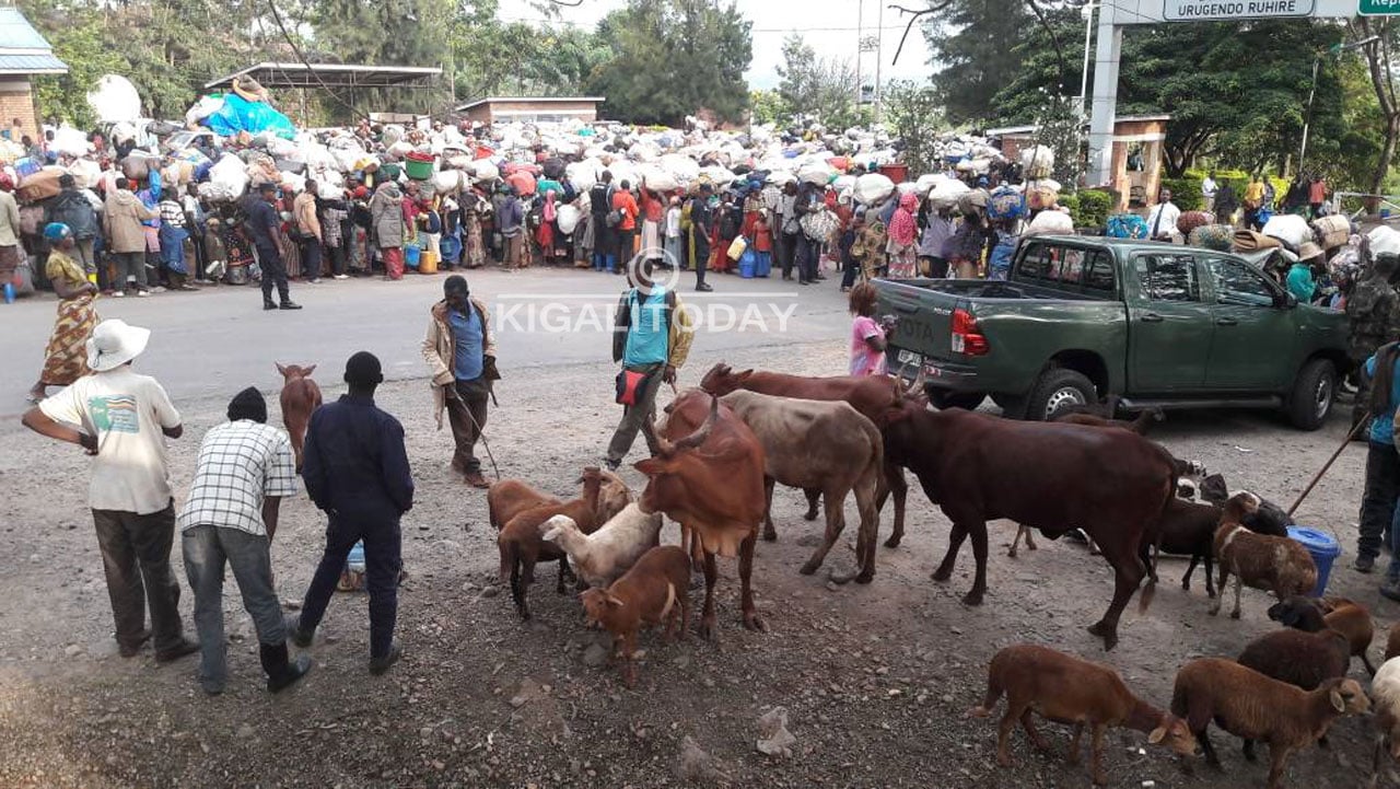 Baje bitwaje n'amatungo yabo