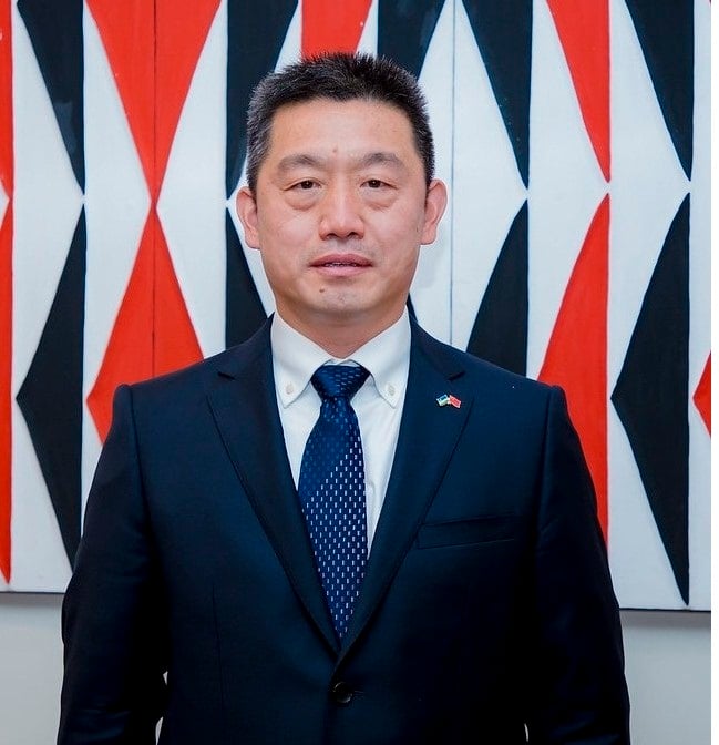 WANG Xuekun, Ambasaderi w