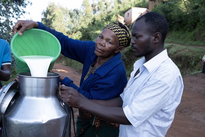 Amata ni kimwe mu byo REMA na FAO bavuga ko byangirika cyane bityo agomba gukonjeshwa