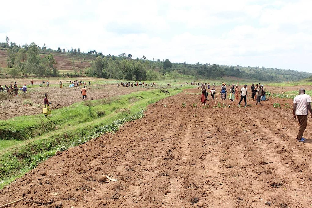 RAB irasaba abahinzi gutegura imirima hakiri kare kugira ngo imvura izagwe bahita batera imbuto
