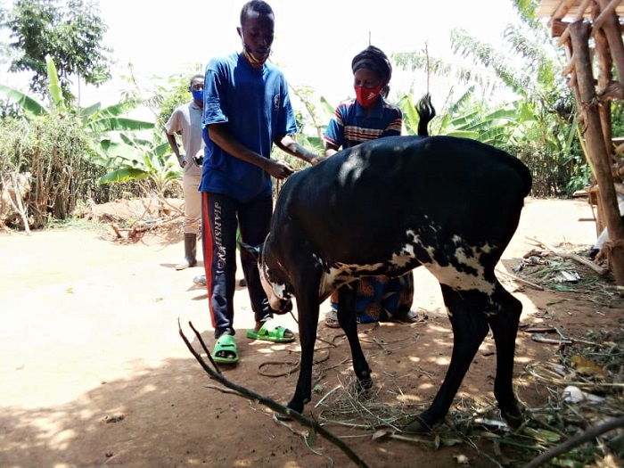 Harerimana Viateur yishimiye inka yahawe