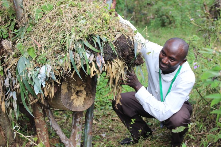 Hakizimana ukorera ubworozi bw'inzuki mu nkengero z'ishyamba rya Nyungwe