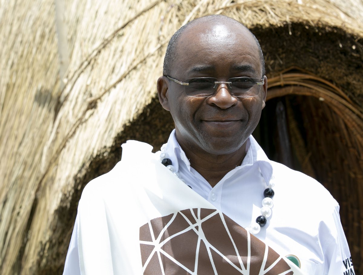 Strive Masiyiwa yise Umwana w'Ingagi Ishusho