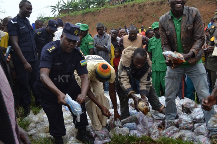 DPC w'Akarere ka Rulindo nyuma yo kwigisha ububi bw'ibiyobyabwenge yafatanyije n'abaturage kwangiza ibiyobyabwenge ku mugaragaro