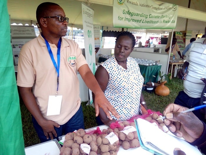 Elias Munyankera (ubanza ibumoso), agira abahinzi inama yo guhinga imbuto z'intuburano
