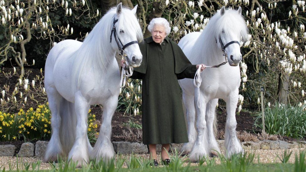 Umwamikazi Elisabeth II azwiho gukunda amafarasi