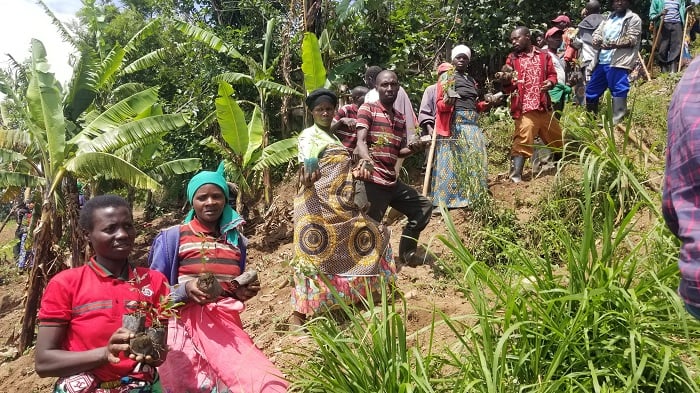 Abaturage bateye ibiti bivangwa n'imyaka