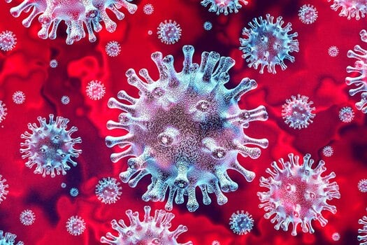 Coronavirus yibasira impindura bikabangamira imikorere y