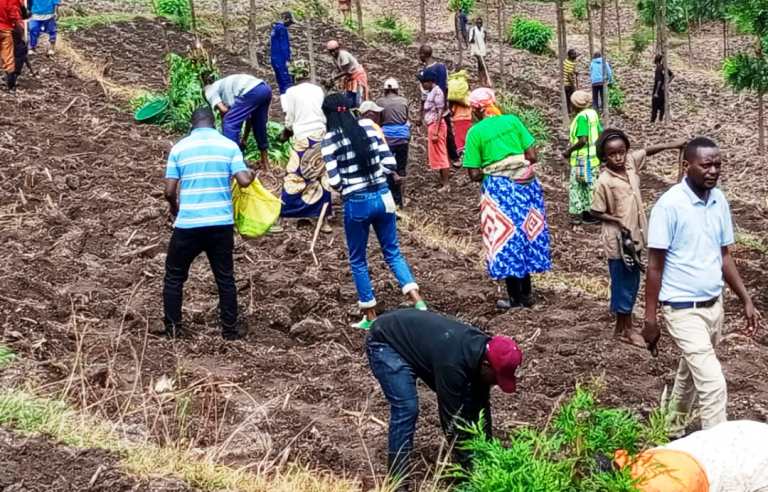 Abayobozi bafatanya n'abaturage gutera ibigori mu materasi yahatunganyijwe