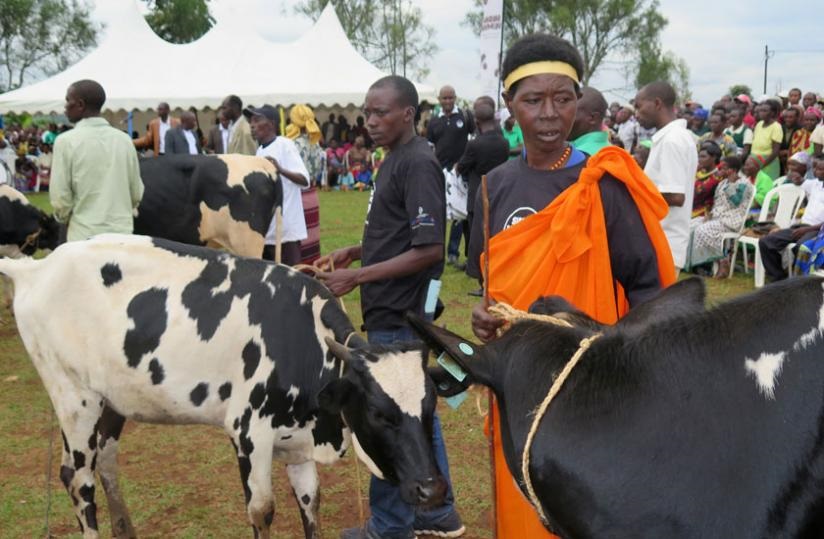 Gahunda ya Girinka igamije gukura umuturage mu bukene 