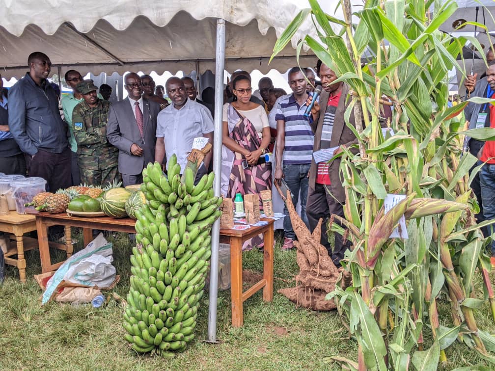 Iterambere ry'Ubuhinzi abaturage bagaragaza ko ritari gushoboka iyo Intwari zititangira Igihugu