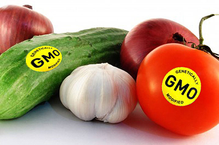 Ibihingwa byahinduriwe uturemangingo (GMO) bikoreshwa cyane ku mugabani w