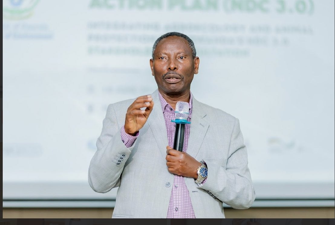 Umuhuzabikorwa w'Ihuriro RCCDN, Vuningoma Faustin