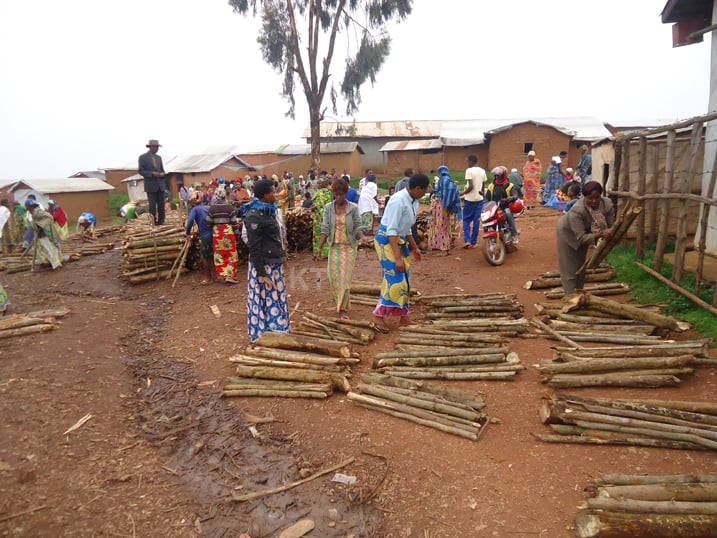 Imbabura zizafasha kugabanya ingano y'ibiti bacana ndetse bigishwe n'uruhare rwa bo mu kubungabunga ibidukikije aho batuye