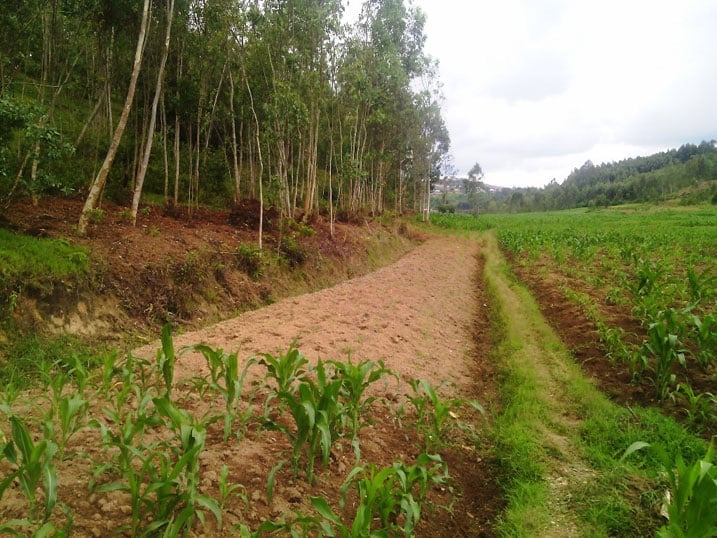 Abahinga muri Rwansamira basigaranye agace gato k'igishanga