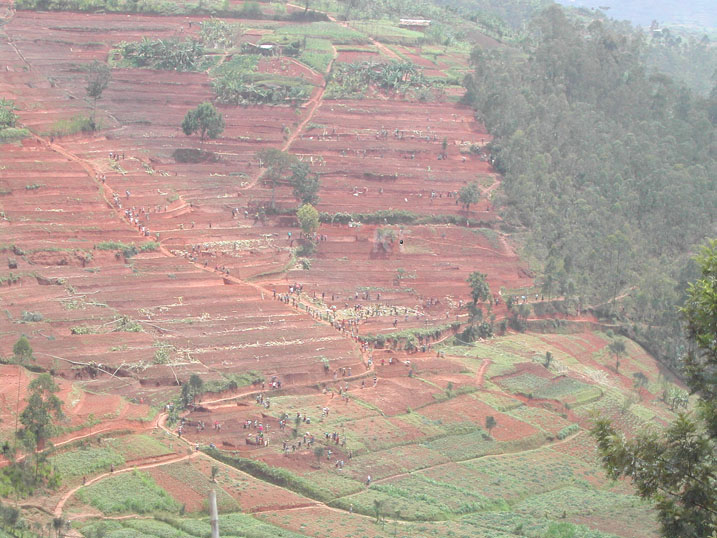 Gukora amaterasi muri gahunda ya VUP byahinduye imibereho ya benshi