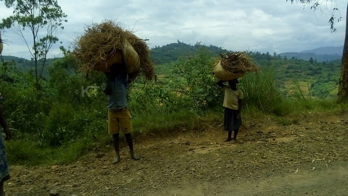 Gukoreshwa imirimo ivunanye biviramo bamwe mu bana kuba inzerezi no guta ishuri.