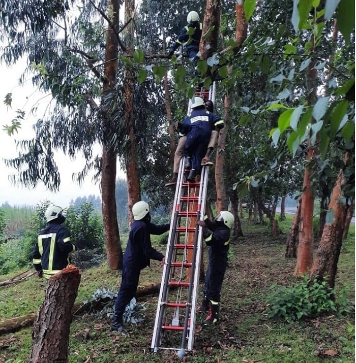 Kumukura muri icyo giti byasabye imbaraga nyinshi