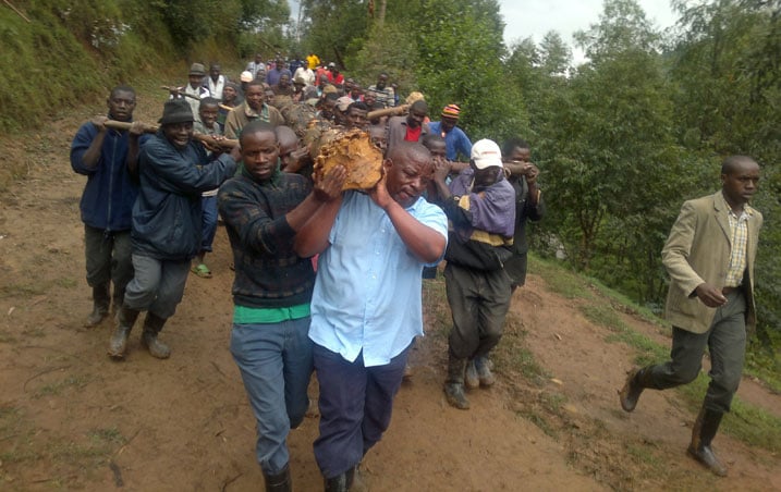 Guverineri Bosenibamwe yafatanyije n'abaturage bo mu murenge wa Cyeru mu muganda wo gusana ikiraro cya Karuruma.