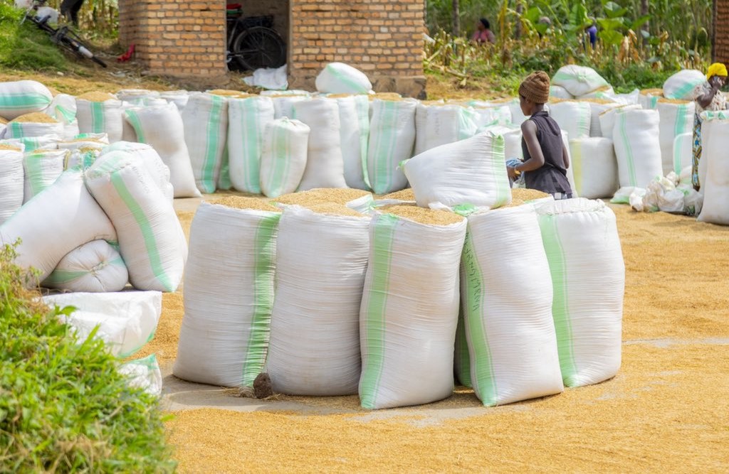 Hari ingamba zirambye zo kugira ngo ikibazo cy'ibura ry'isoko ry'umusaruro gikemuke burundu