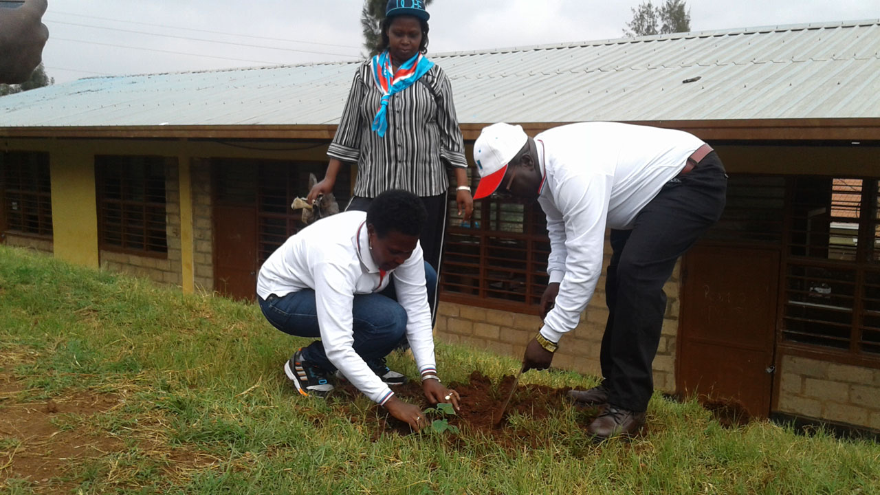 Hatewe ibiti byo kurwanya isuri