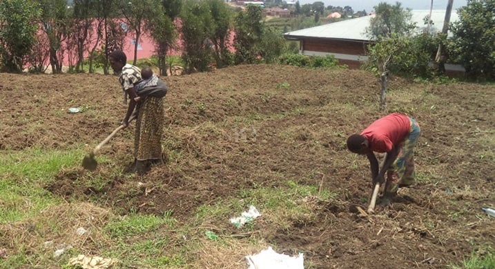 Hari abahinzi benshi usanga batazi gahunda ya Twigire Muhinzi kandi ibereyeho kubafasha.