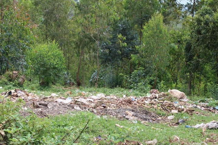 Hari abanga kubagira mu ibagiro, bakabagira amatungo muri iri shyamba.