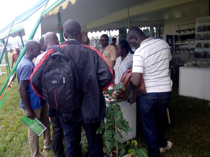 Hari abatuyrage bahise bafata umwanzuro wo guhinga imbuto yatubuwe
