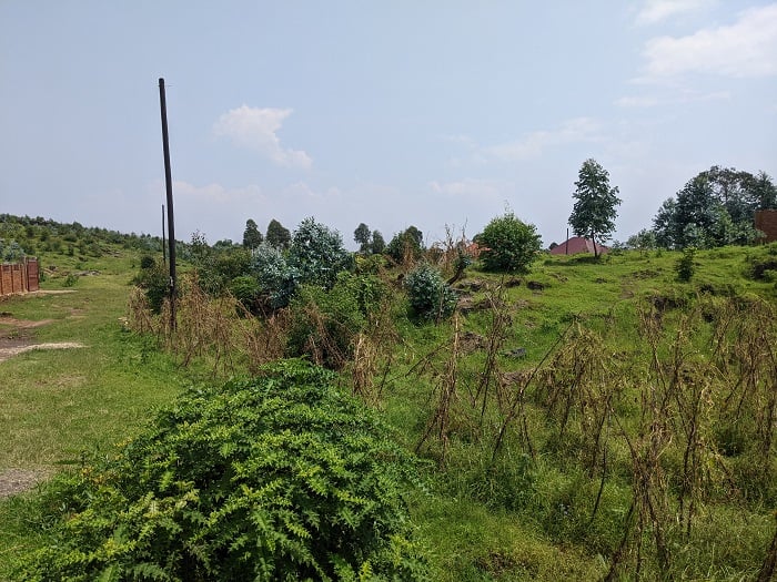 Batgerewe amapoto ariko bategereza umuriro baraheba