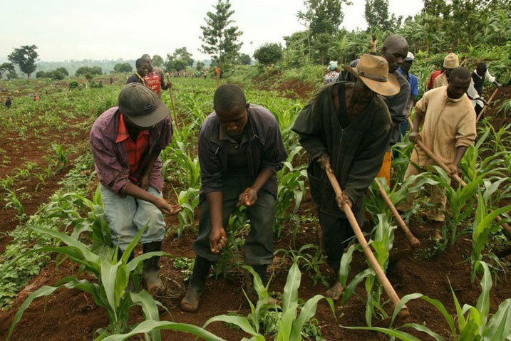 Hatagize igikorwa ngo ubuhinzi burengerwe u Rwanda kimwe n