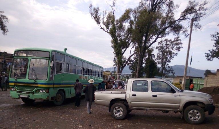 Igiti cy'Imana y'avagore ni icyo kiri inyuma ya Bisi, kinini gifite amashami menshi 