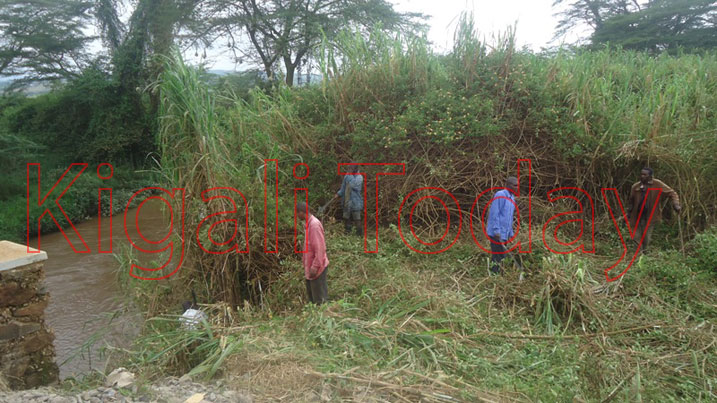 Hatemwe ibihuru bikikije Umugezi w