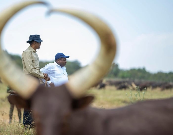 Perezida Kagame yagabiye Inyambo mugenzi we Nyusi wa Mozambique