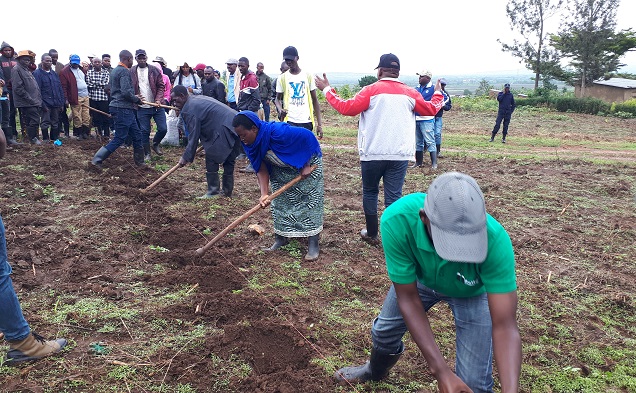 Abajyanama b'ubuhinzi babanje kwereka abahinzi uko baca ibinogo bishyirwamo imbuto