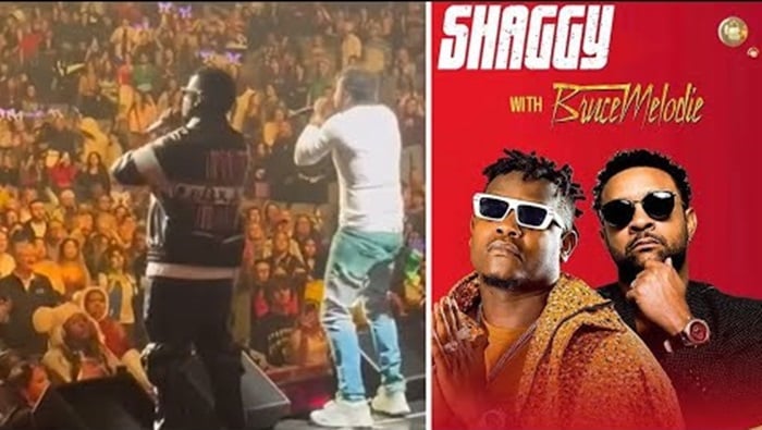 Kuririmbana na Shaggy ni inzozi zabaye impamo