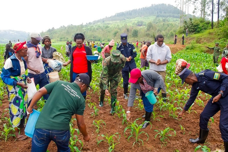 Abayobozi bafatanyije n'abaturage mu muganda udasanzwe wo kubagara ibigori batera ifumbire