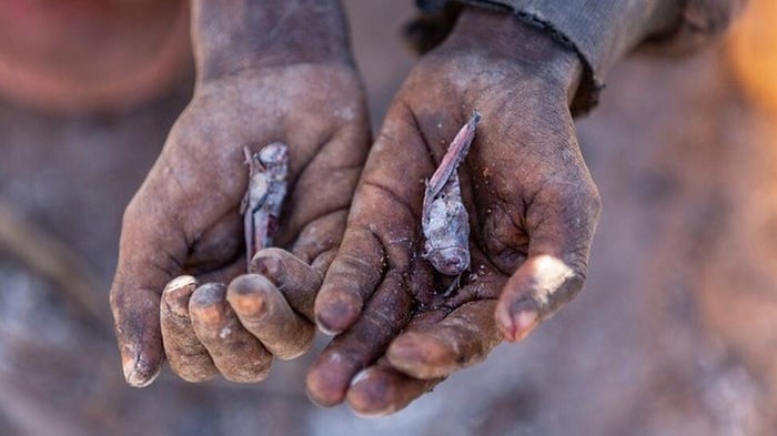 Abantu barya ibihore kugira ngo barebe ko baramuka