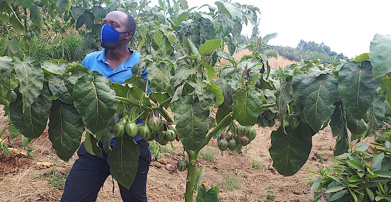 Niyonambaza agira abantu inama yo kwihangira umurimo kuruta gutegereza ko bazahabwa akazi