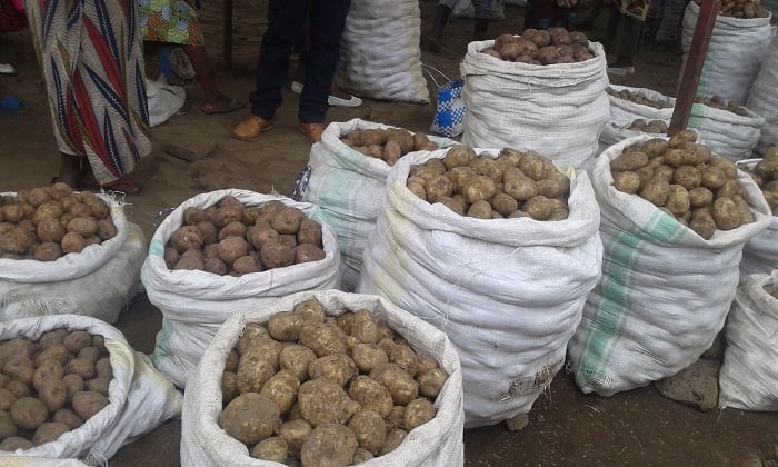 Mu Karere ka Musanze ikiro cy'ibirayi kiri hatati y'amafaranga 200 na 250