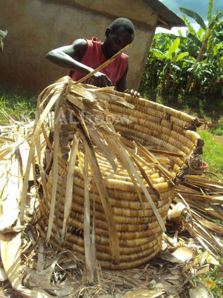 Ibirere yabonaga nta kamaro byagira ni byo yihamiriza ko bimuteje imbere.