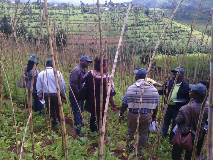 Abayobozi b