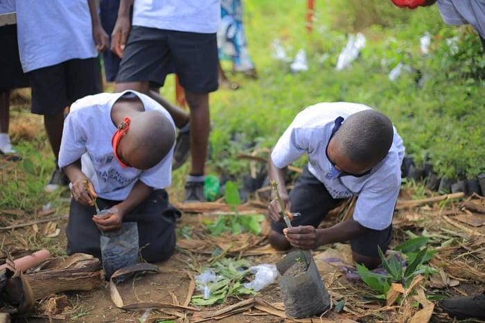 Bamwe mu bana biga mu mashuri abanza i Nyagatare bazi kubangurira no gutera ibiti