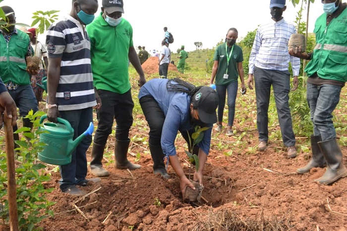 Minisitiri Mukeshimana asanga gutera ibiti bizagabanya izuba mu mirenge ya Kabarondo na Murama ariko binafashe mu kongera indyo yuzuye