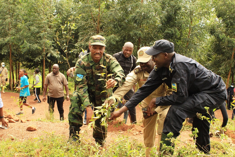 Ingabo, Polisi na RCS batera ibiti