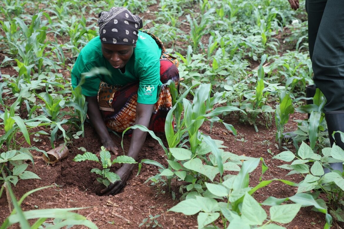 Abaturage basabwa gutera ibiti no kubyitaho ukobikwiye