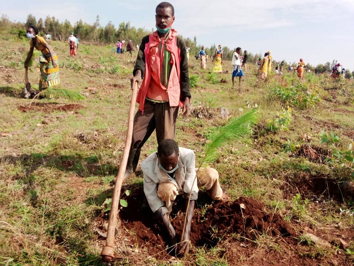 Abaturage biyemeje ko bagiye kurinda iri shyamba agasozi ntikazongere kuba ubutayu